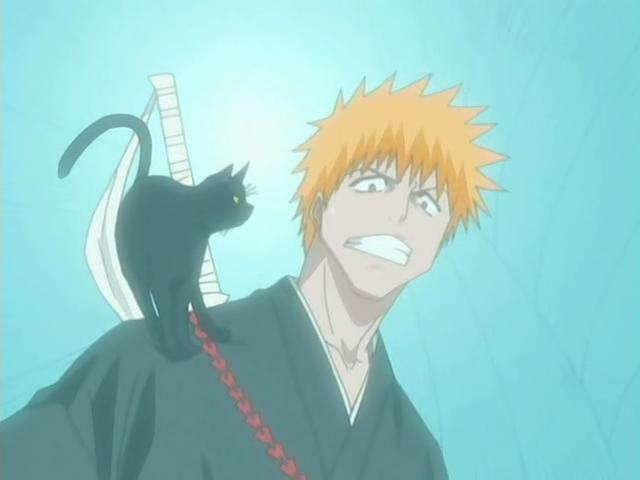 Otaku Gallery  / Anime e Manga / Bleach / Screen Shots / Episodi / 025 - Sfondare al centro con un enorme proiettile / 215.jpg